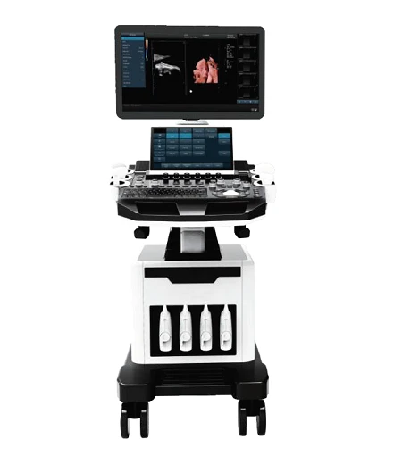 5D Color Doppler Ultrasound
