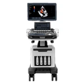Trolley-Farbdoppler-4D-Ultraschall-Diagnosegerät mit Elastographie
